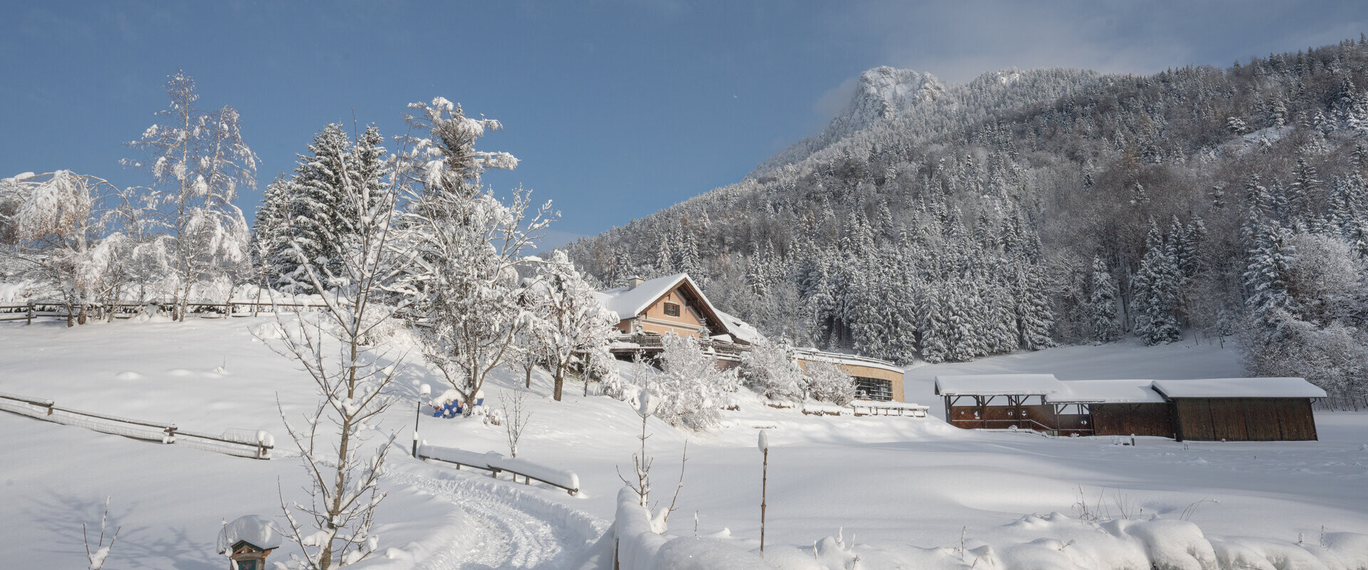 Die tief verschneite Waldhofalm mit der Waldhof Winterwelt.